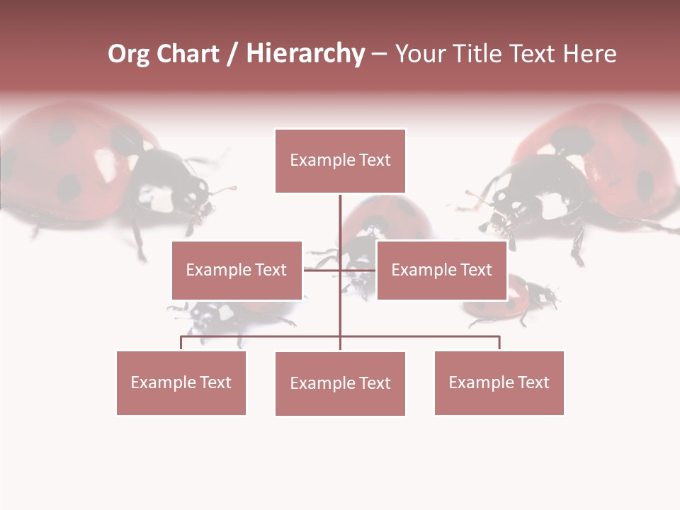 Happy Humorou Per On PowerPoint Template