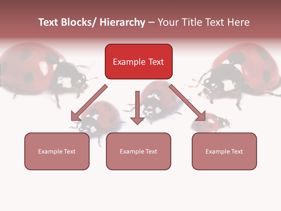 Happy Humorou Per On PowerPoint Template