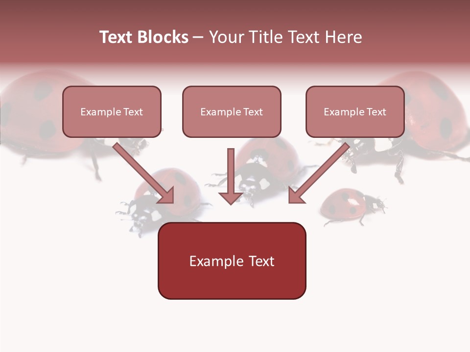 Happy Humorou Per On PowerPoint Template