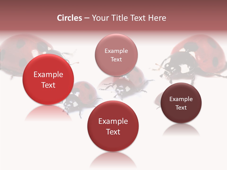 Happy Humorou Per On PowerPoint Template