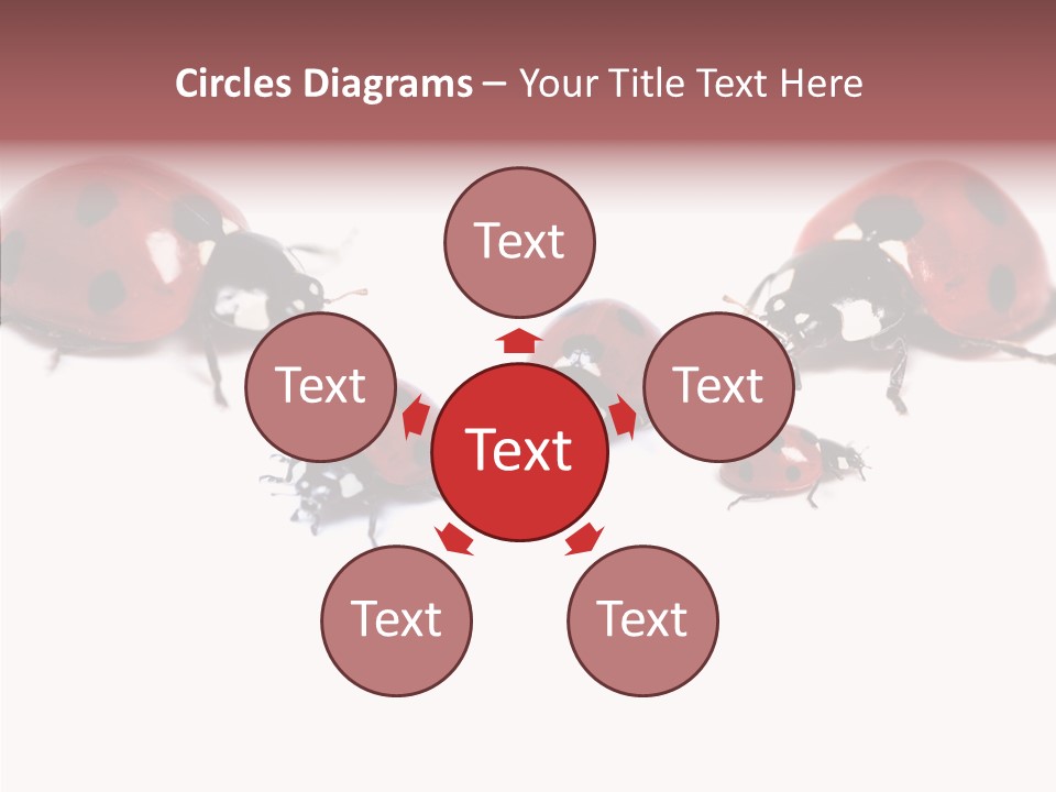 Happy Humorou Per On PowerPoint Template