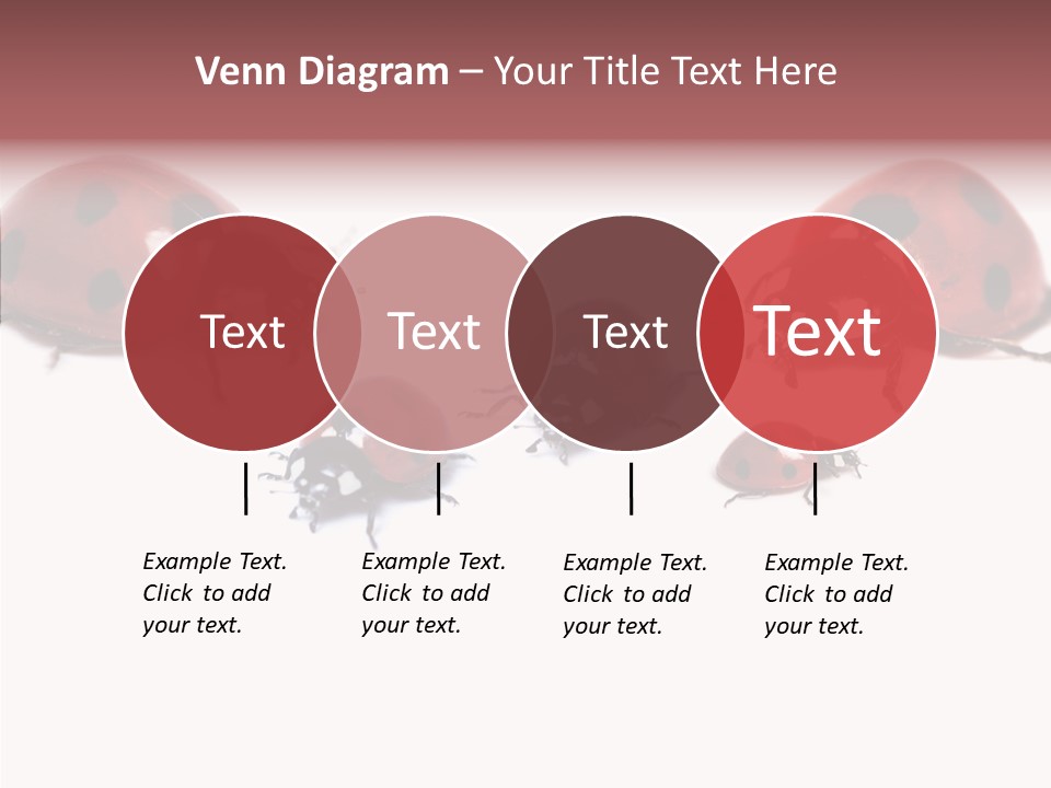 Happy Humorou Per On PowerPoint Template