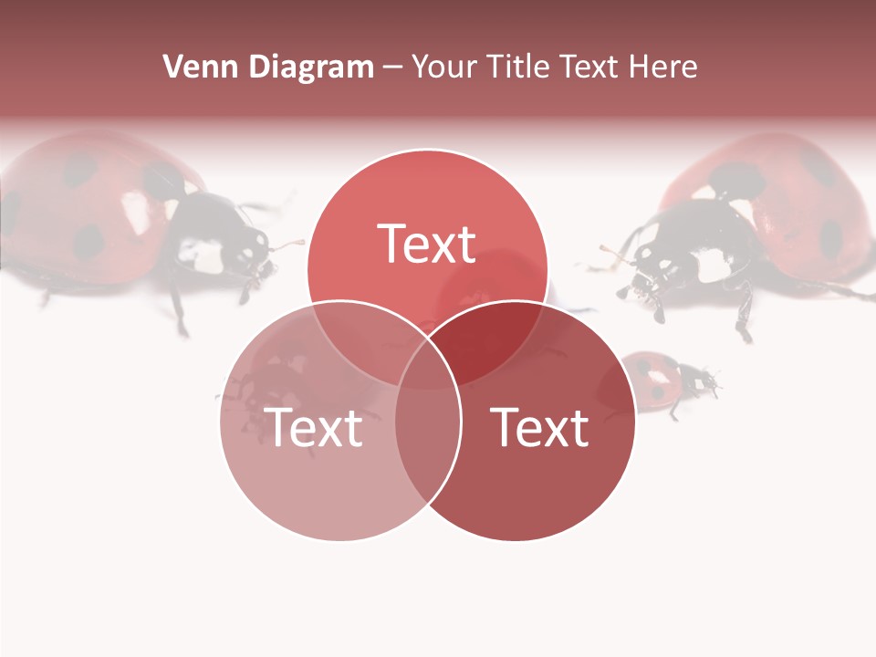 Happy Humorou Per On PowerPoint Template