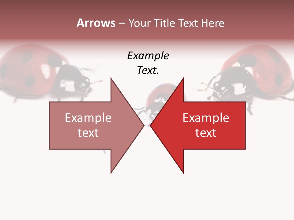 Happy Humorou Per On PowerPoint Template