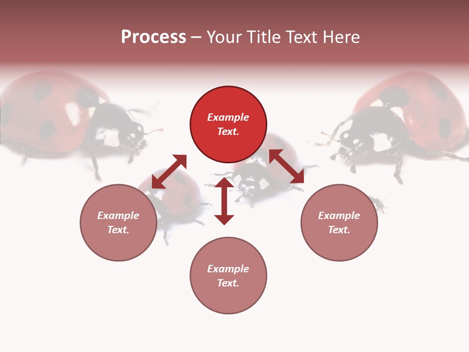 Happy Humorou Per On PowerPoint Template