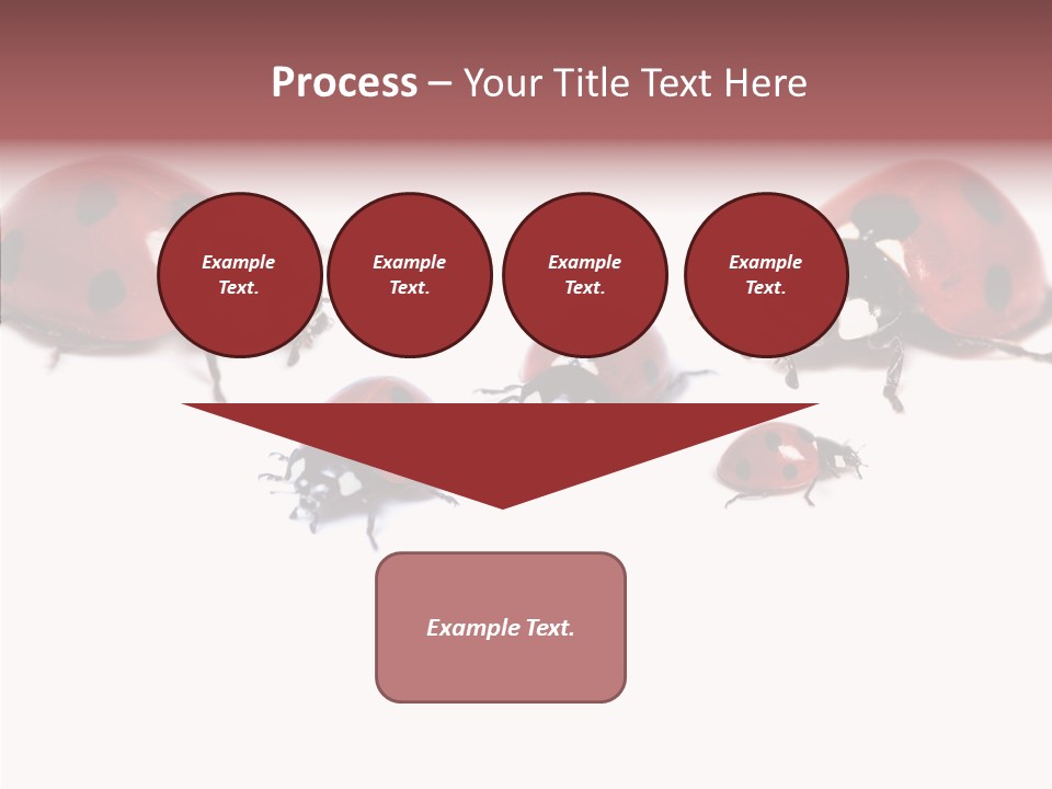 Happy Humorou Per On PowerPoint Template