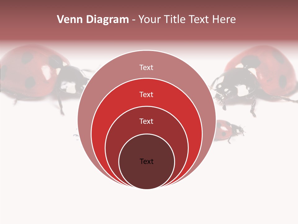 Happy Humorou Per On PowerPoint Template