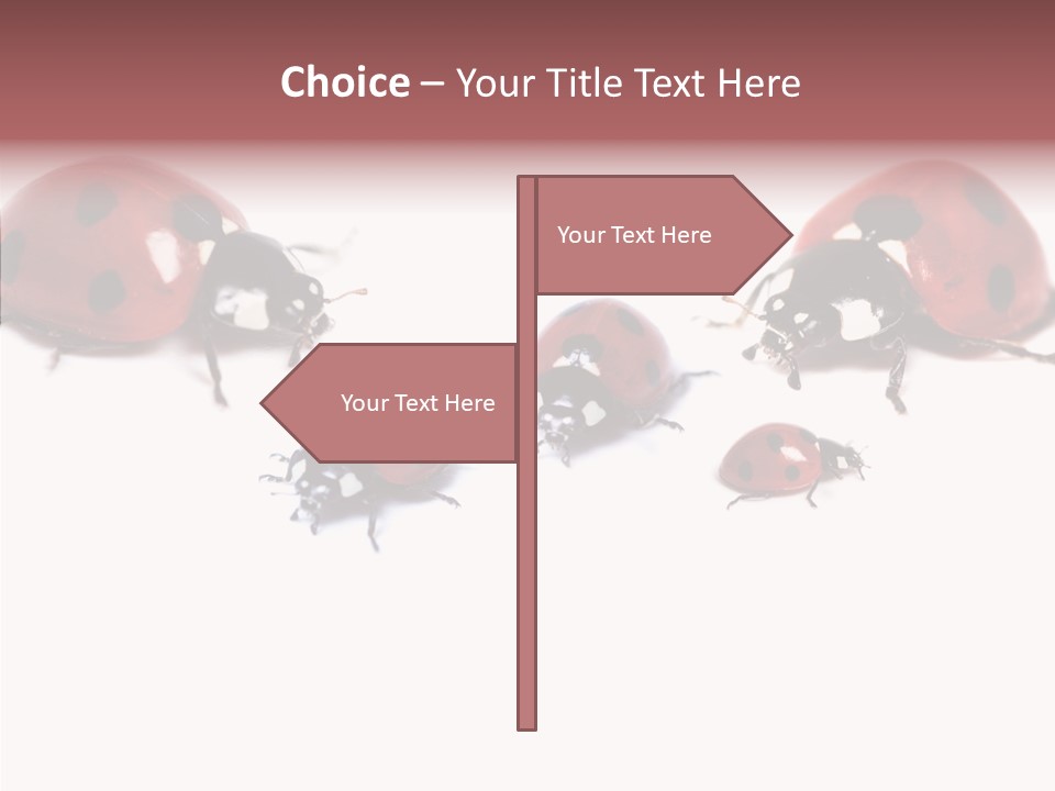 Happy Humorou Per On PowerPoint Template