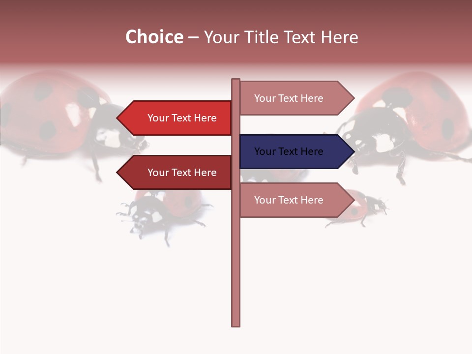 Happy Humorou Per On PowerPoint Template