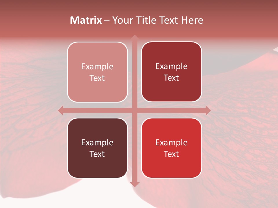 Summer Color Individuality PowerPoint Template