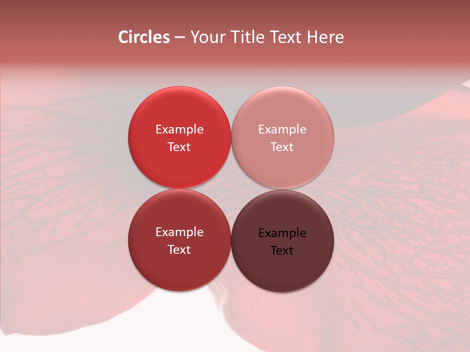 Summer Color Individuality PowerPoint Template