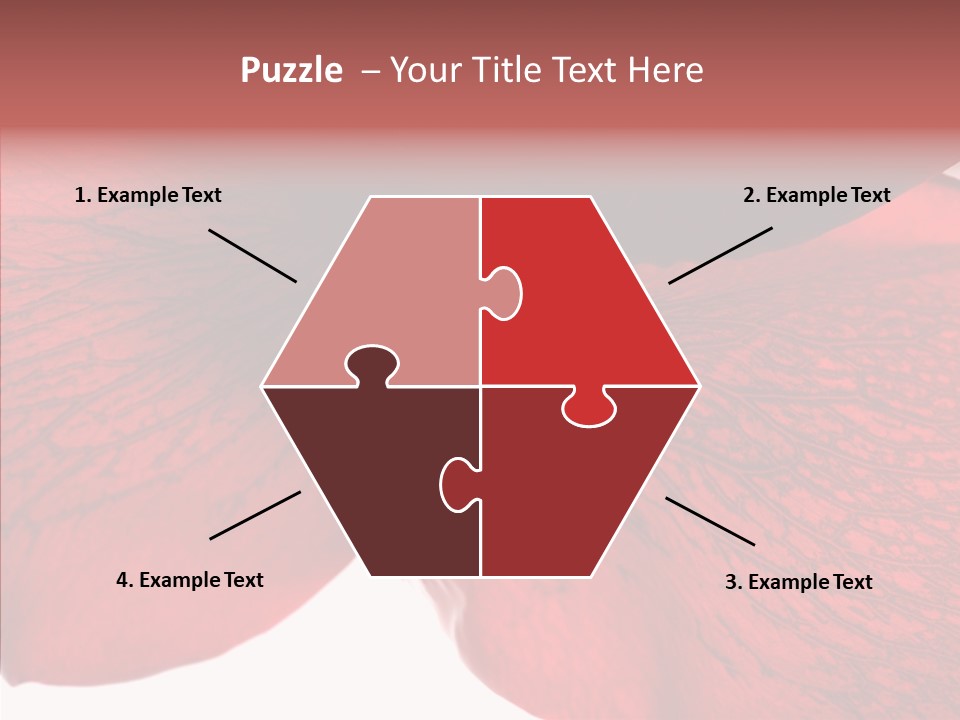 Summer Color Individuality PowerPoint Template