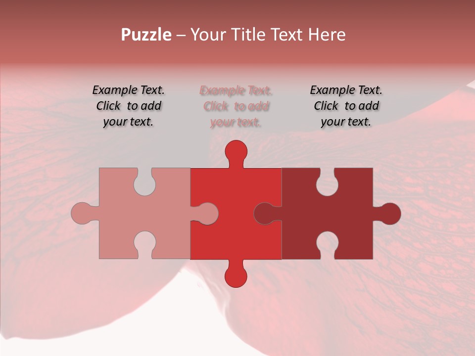 Summer Color Individuality PowerPoint Template