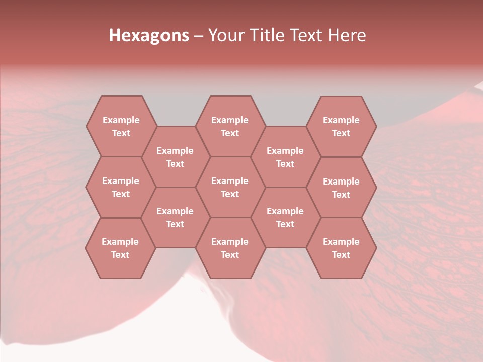 Summer Color Individuality PowerPoint Template