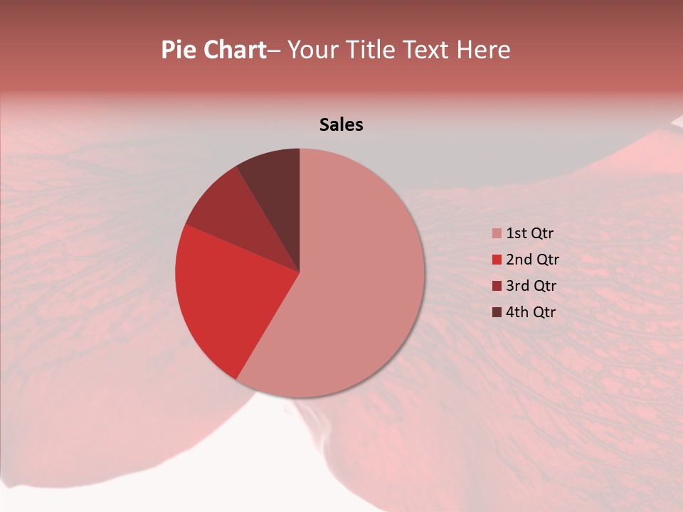 Summer Color Individuality PowerPoint Template