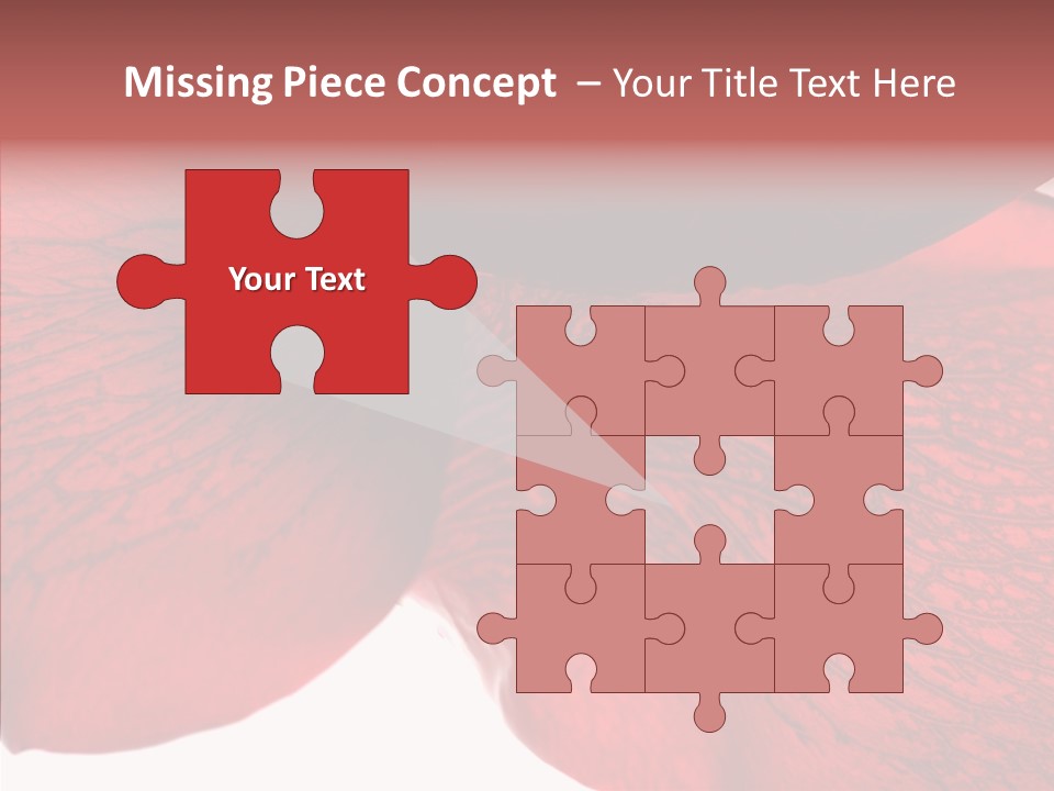 Summer Color Individuality PowerPoint Template