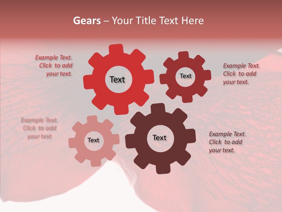 Summer Color Individuality PowerPoint Template