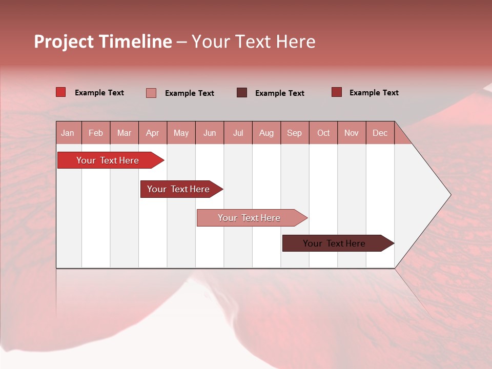 Summer Color Individuality PowerPoint Template
