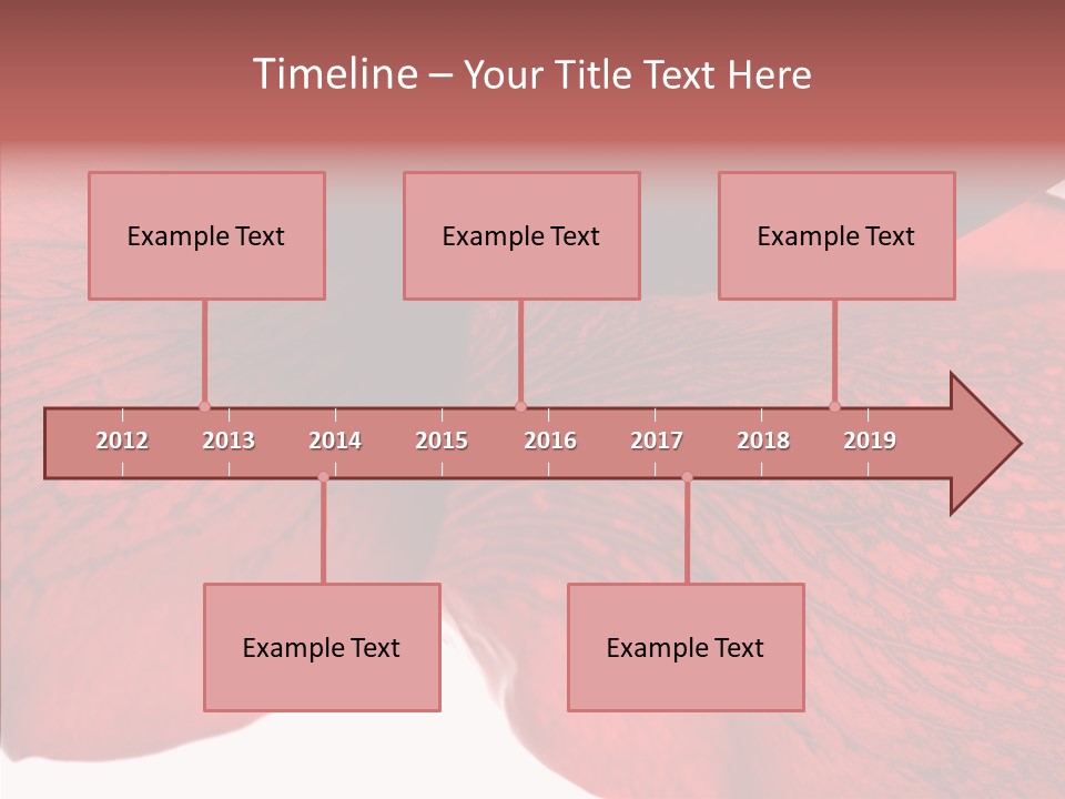 Summer Color Individuality PowerPoint Template
