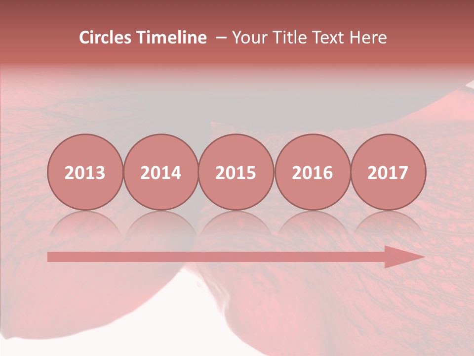 Summer Color Individuality PowerPoint Template