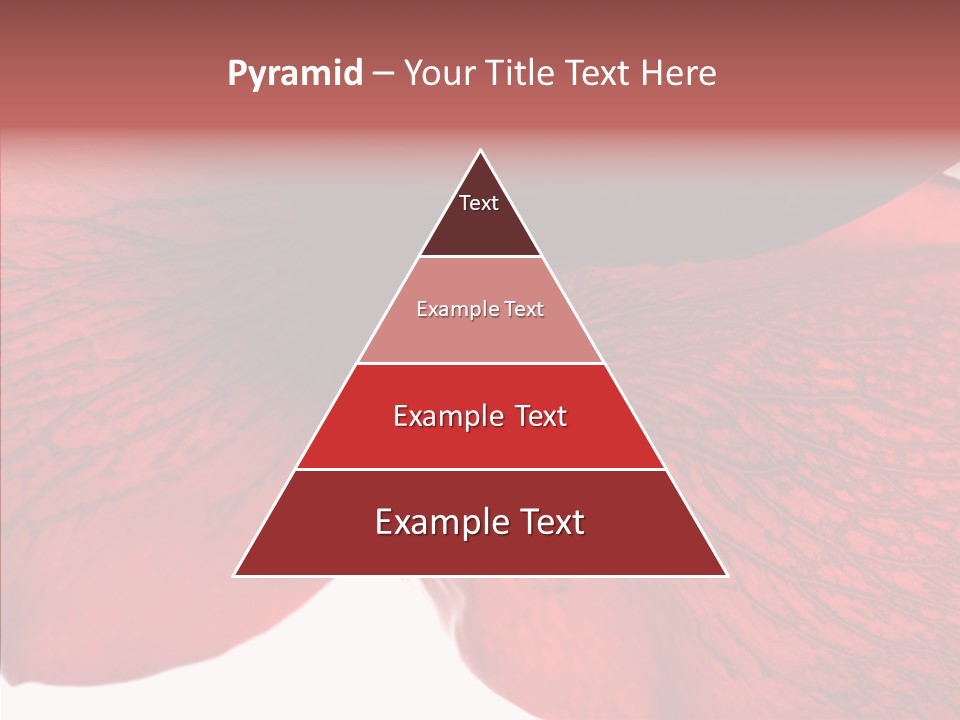 Summer Color Individuality PowerPoint Template