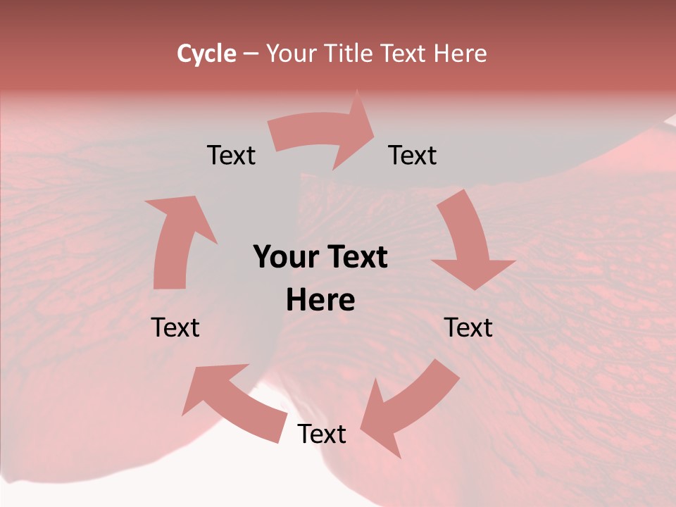 Summer Color Individuality PowerPoint Template