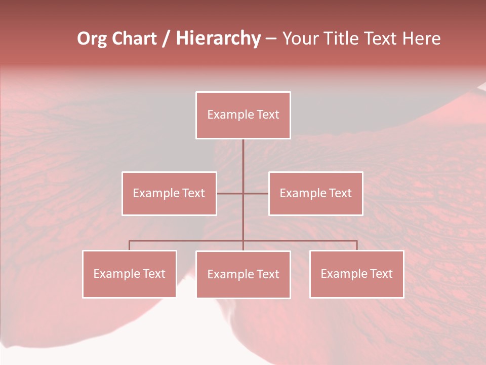 Summer Color Individuality PowerPoint Template