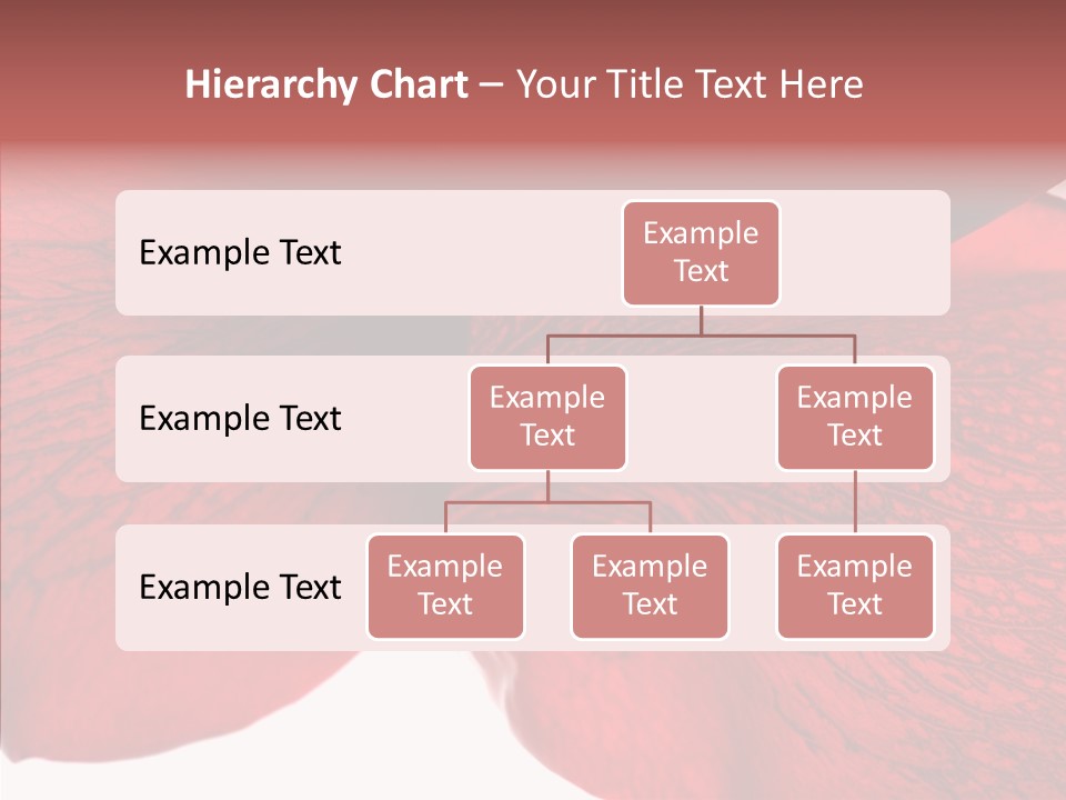Summer Color Individuality PowerPoint Template