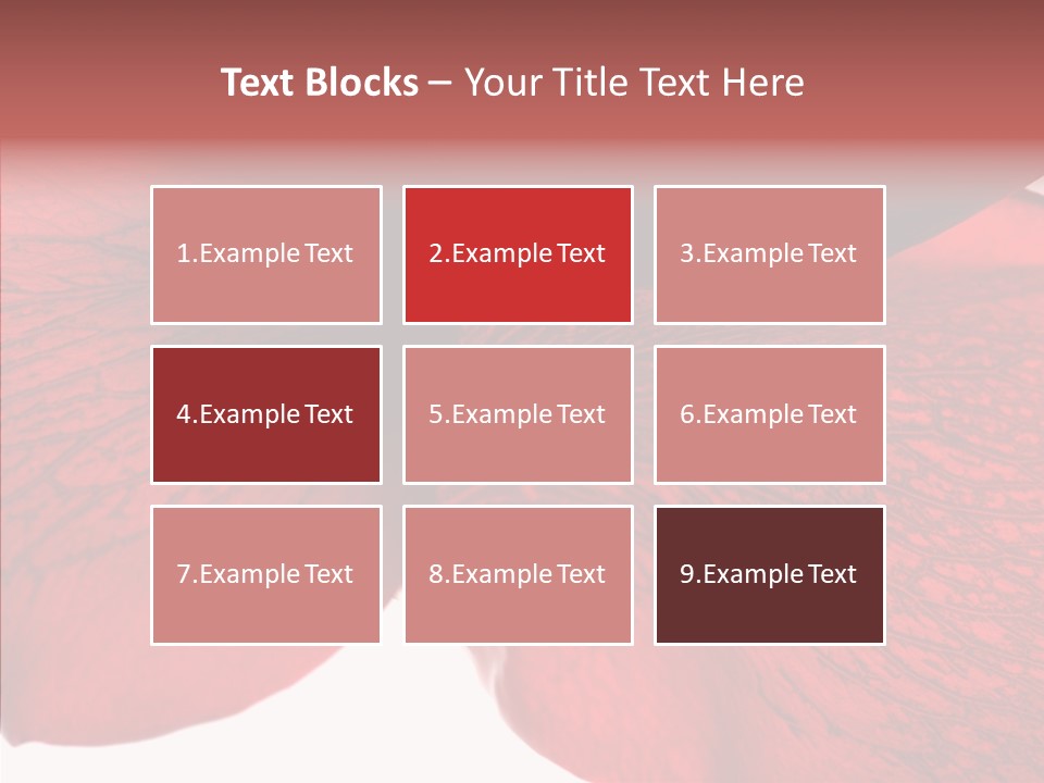 Summer Color Individuality PowerPoint Template