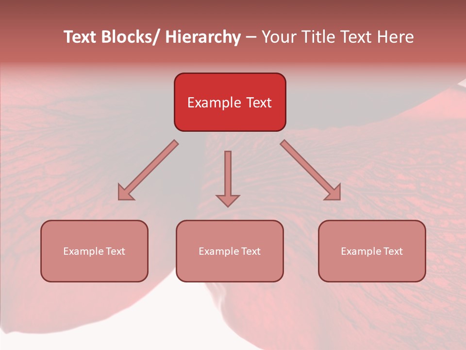 Summer Color Individuality PowerPoint Template