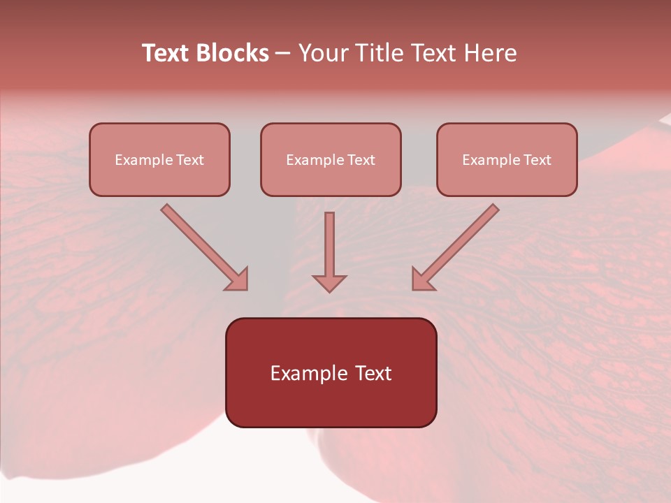 Summer Color Individuality PowerPoint Template