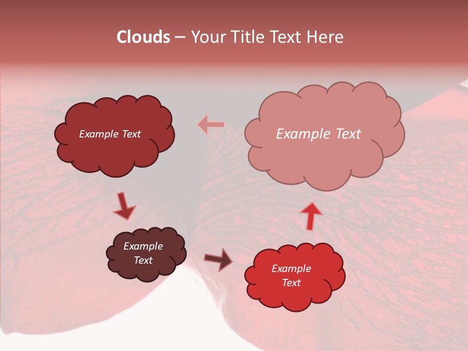 Summer Color Individuality PowerPoint Template