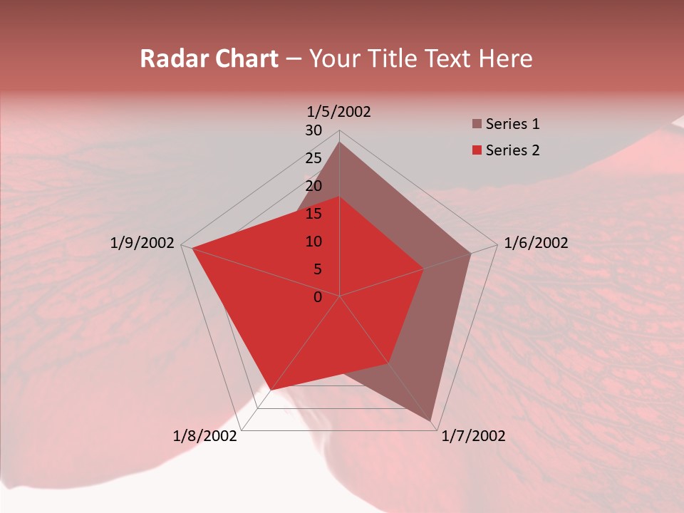 Summer Color Individuality PowerPoint Template