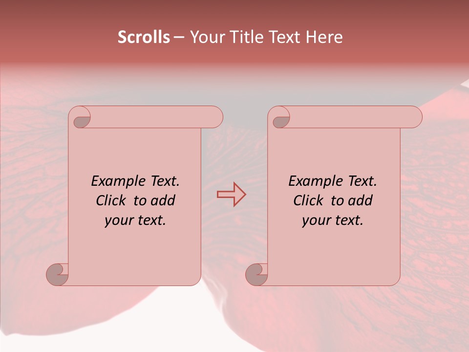 Summer Color Individuality PowerPoint Template