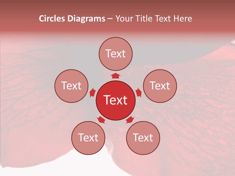 Summer Color Individuality PowerPoint Template