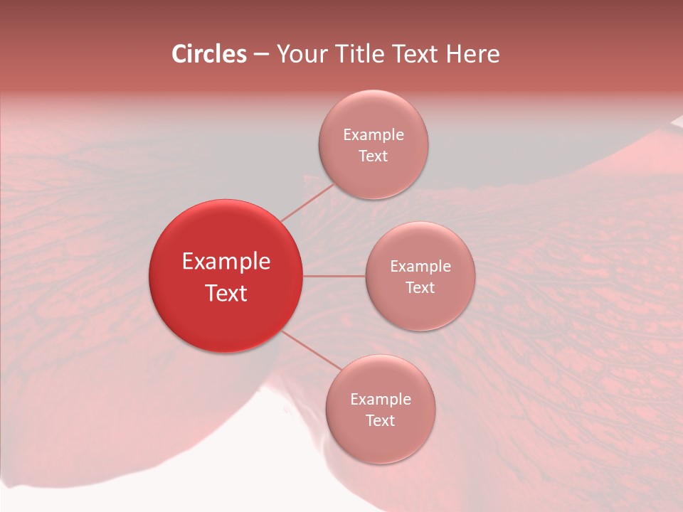 Summer Color Individuality PowerPoint Template