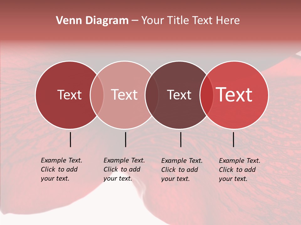 Summer Color Individuality PowerPoint Template