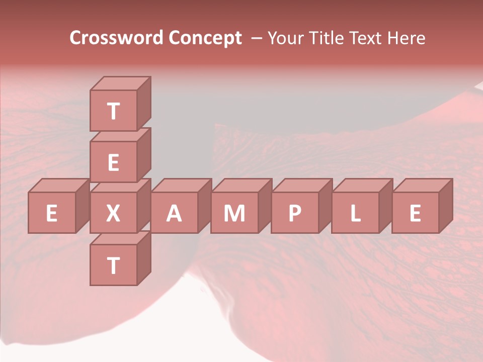 Summer Color Individuality PowerPoint Template