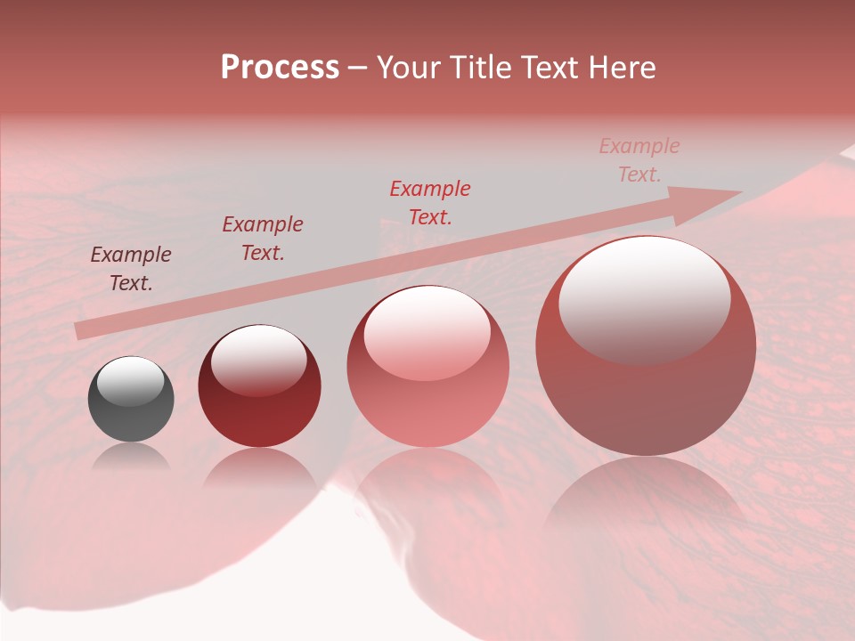 Summer Color Individuality PowerPoint Template