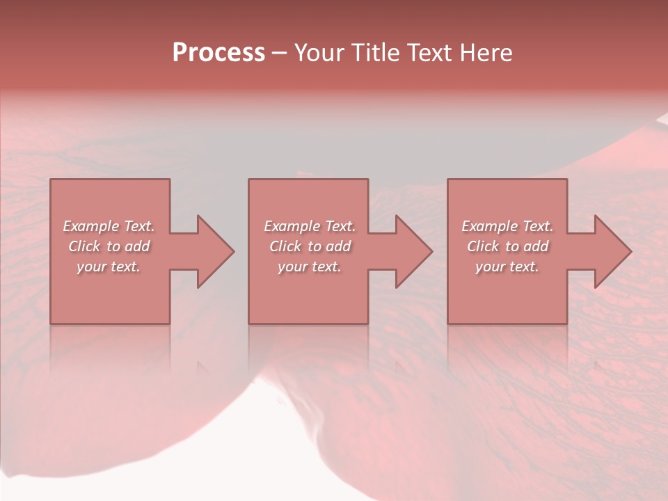 Summer Color Individuality PowerPoint Template