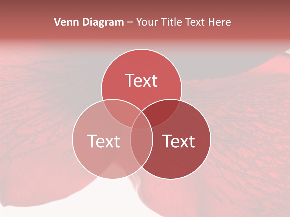 Summer Color Individuality PowerPoint Template