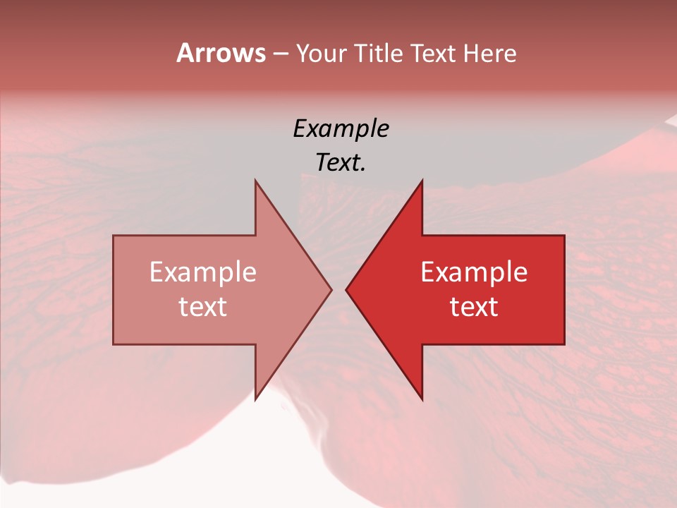 Summer Color Individuality PowerPoint Template