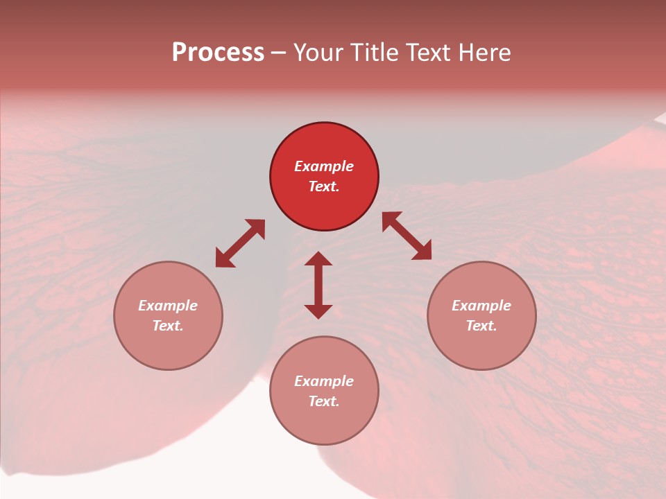 Summer Color Individuality PowerPoint Template