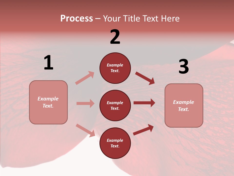 Summer Color Individuality PowerPoint Template