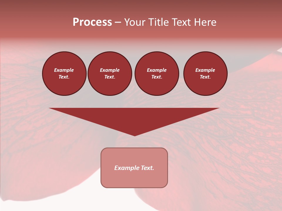 Summer Color Individuality PowerPoint Template