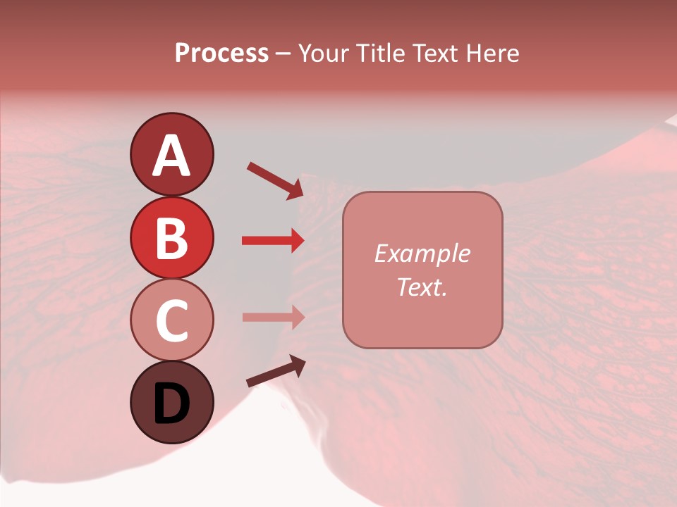 Summer Color Individuality PowerPoint Template