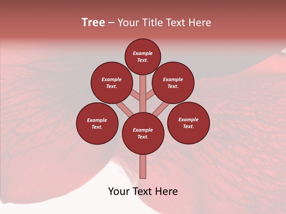 Summer Color Individuality PowerPoint Template