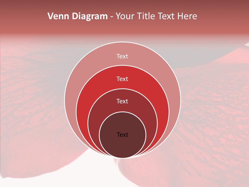 Summer Color Individuality PowerPoint Template