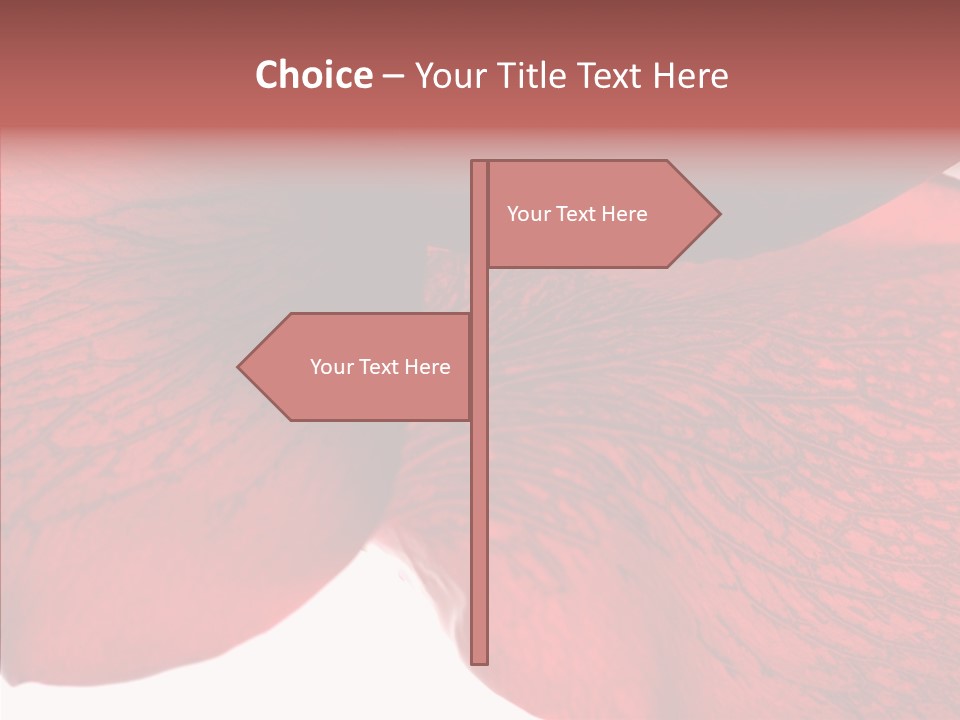 Summer Color Individuality PowerPoint Template