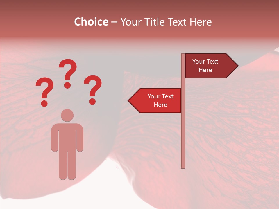 Summer Color Individuality PowerPoint Template